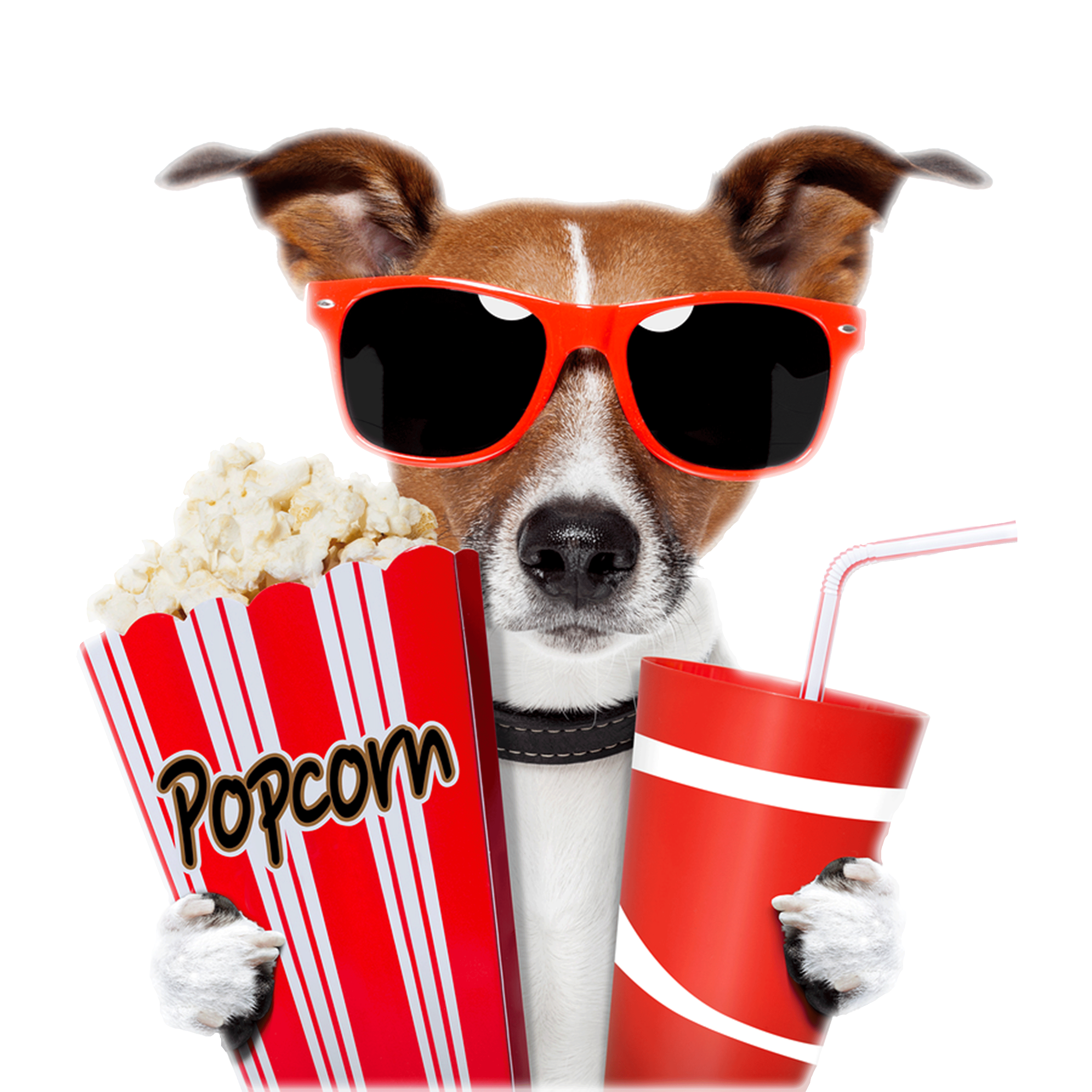 Dog at the Movie