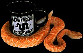 American International Rattlesnake Museum in Albuquerque